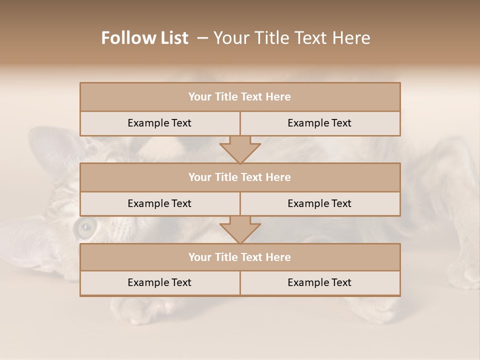 Grooming Pretty Household PowerPoint Template