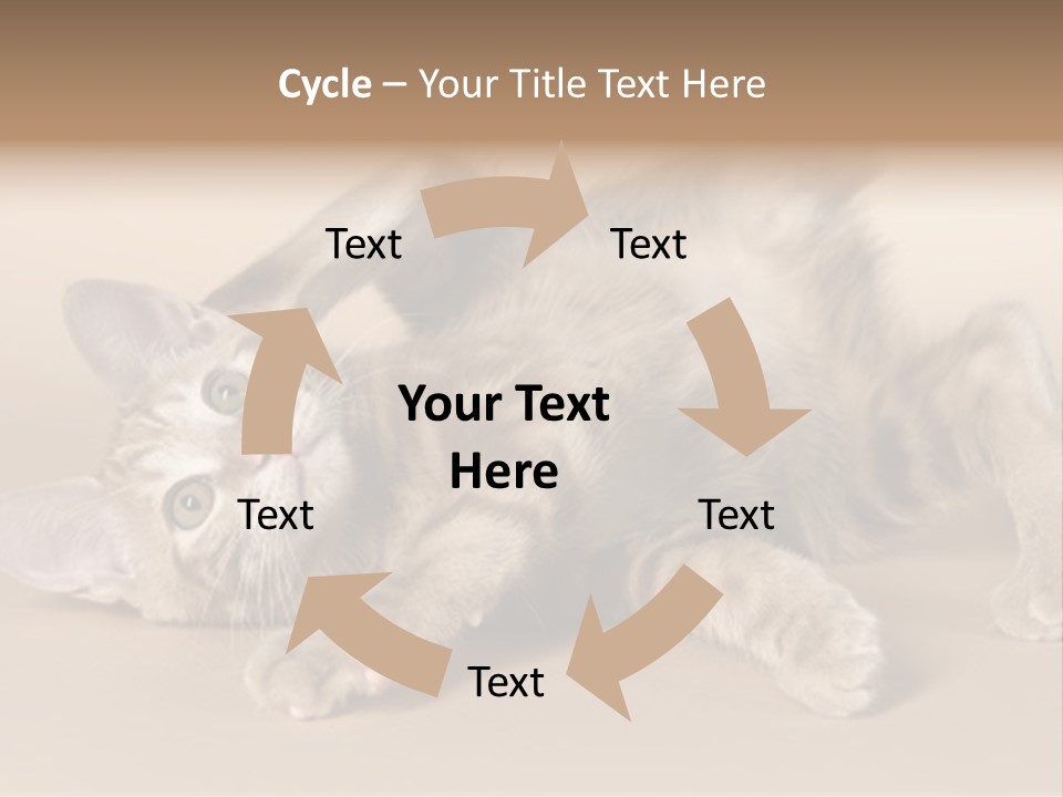 Grooming Pretty Household PowerPoint Template