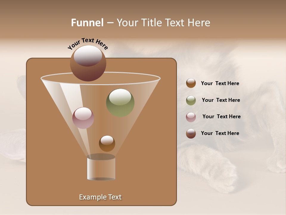 Grooming Pretty Household PowerPoint Template