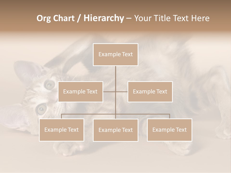 Grooming Pretty Household PowerPoint Template