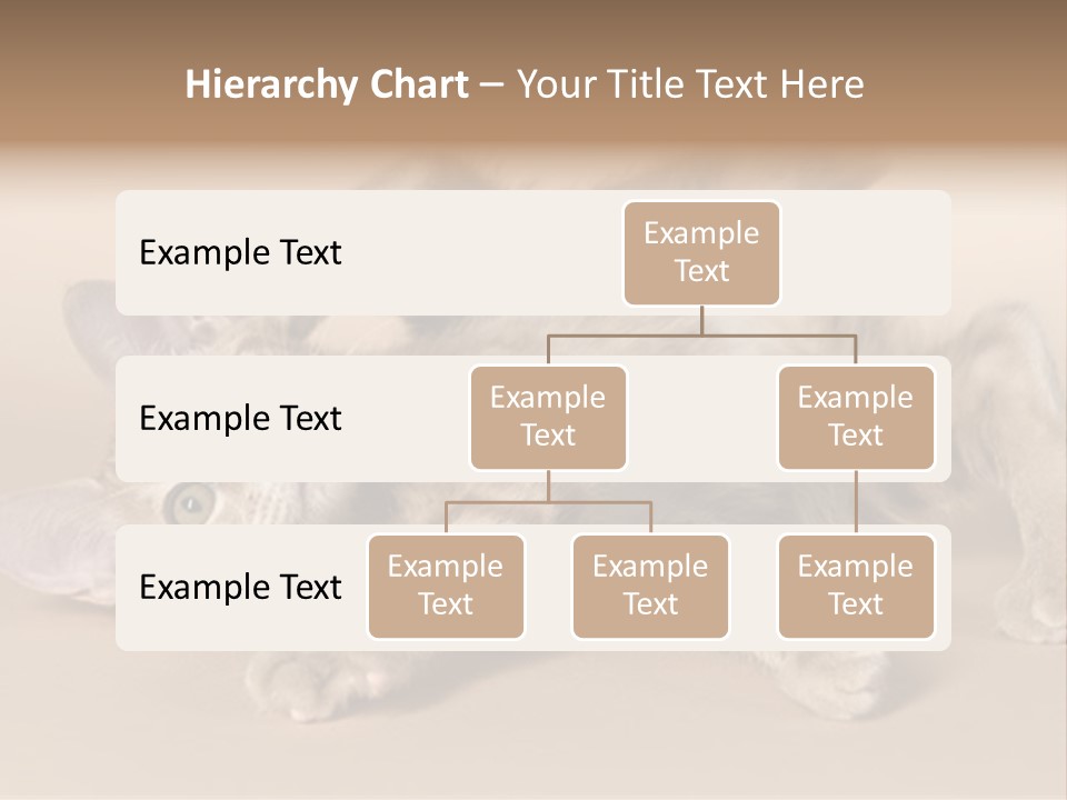 Grooming Pretty Household PowerPoint Template