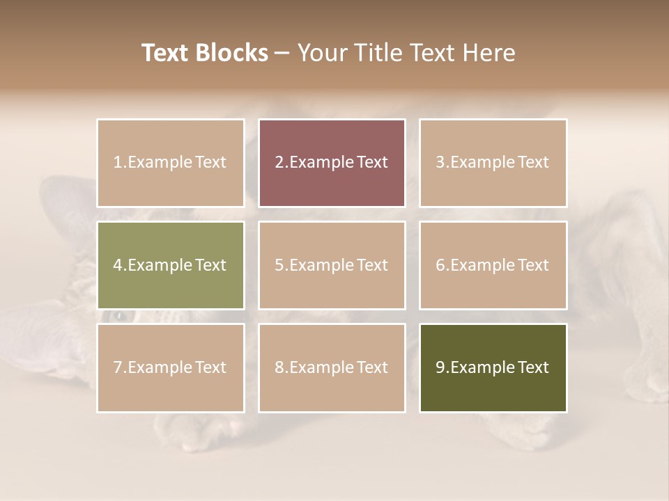 Grooming Pretty Household PowerPoint Template