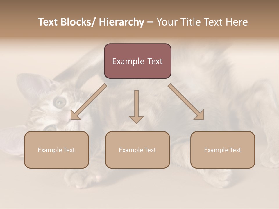 Grooming Pretty Household PowerPoint Template