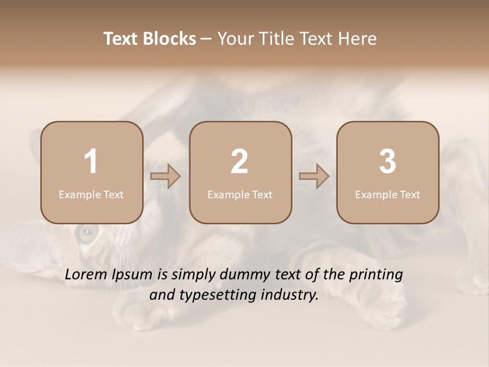 Grooming Pretty Household PowerPoint Template