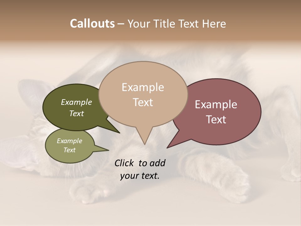 Grooming Pretty Household PowerPoint Template