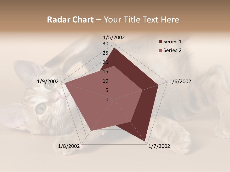 Grooming Pretty Household PowerPoint Template
