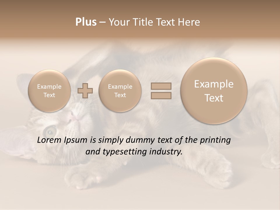 Grooming Pretty Household PowerPoint Template