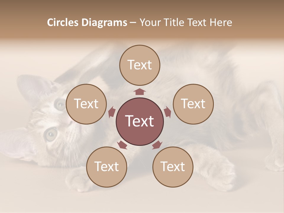 Grooming Pretty Household PowerPoint Template