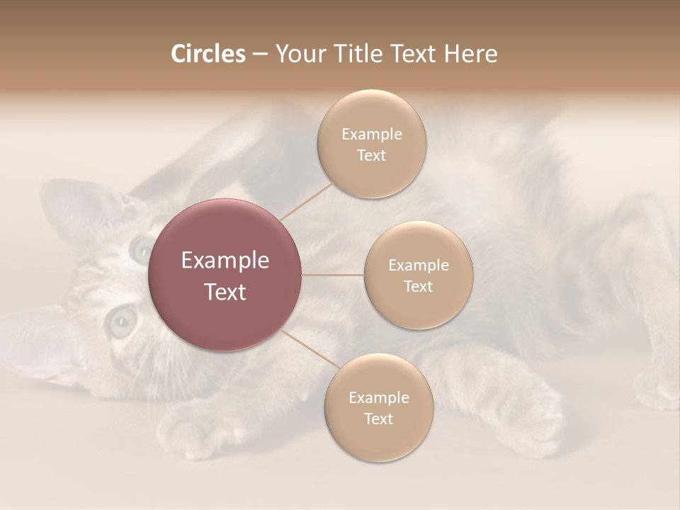 Grooming Pretty Household PowerPoint Template