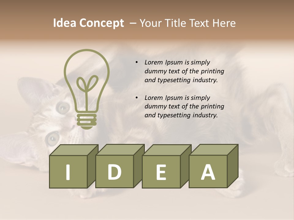 Grooming Pretty Household PowerPoint Template