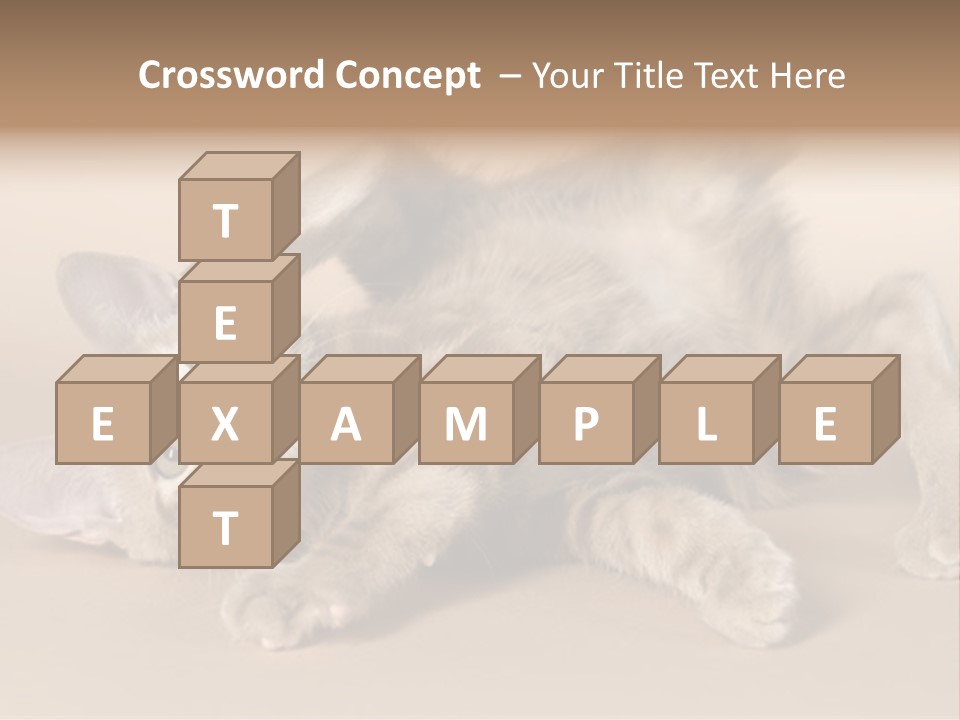 Grooming Pretty Household PowerPoint Template