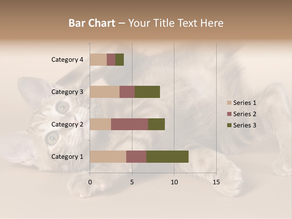 Grooming Pretty Household PowerPoint Template