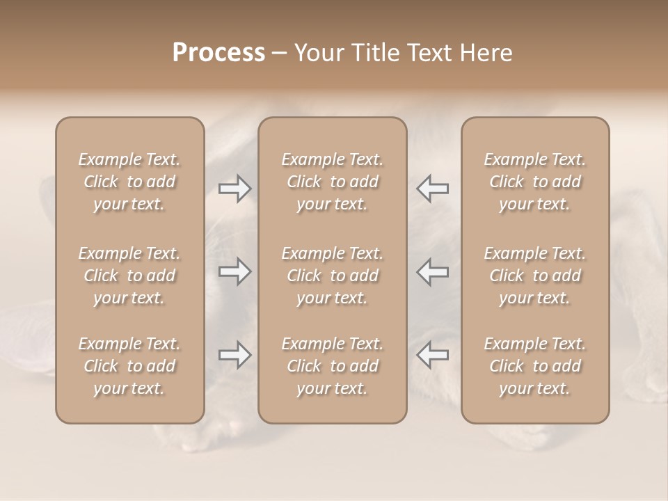 Grooming Pretty Household PowerPoint Template