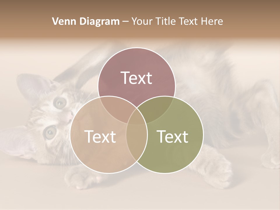 Grooming Pretty Household PowerPoint Template