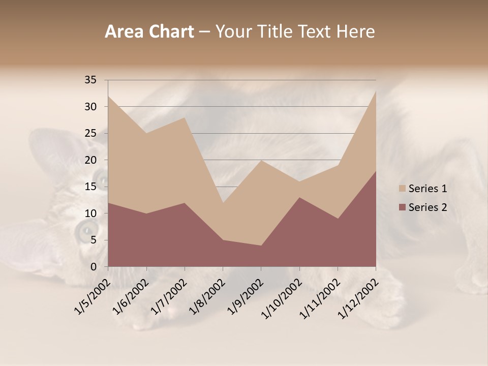 Grooming Pretty Household PowerPoint Template