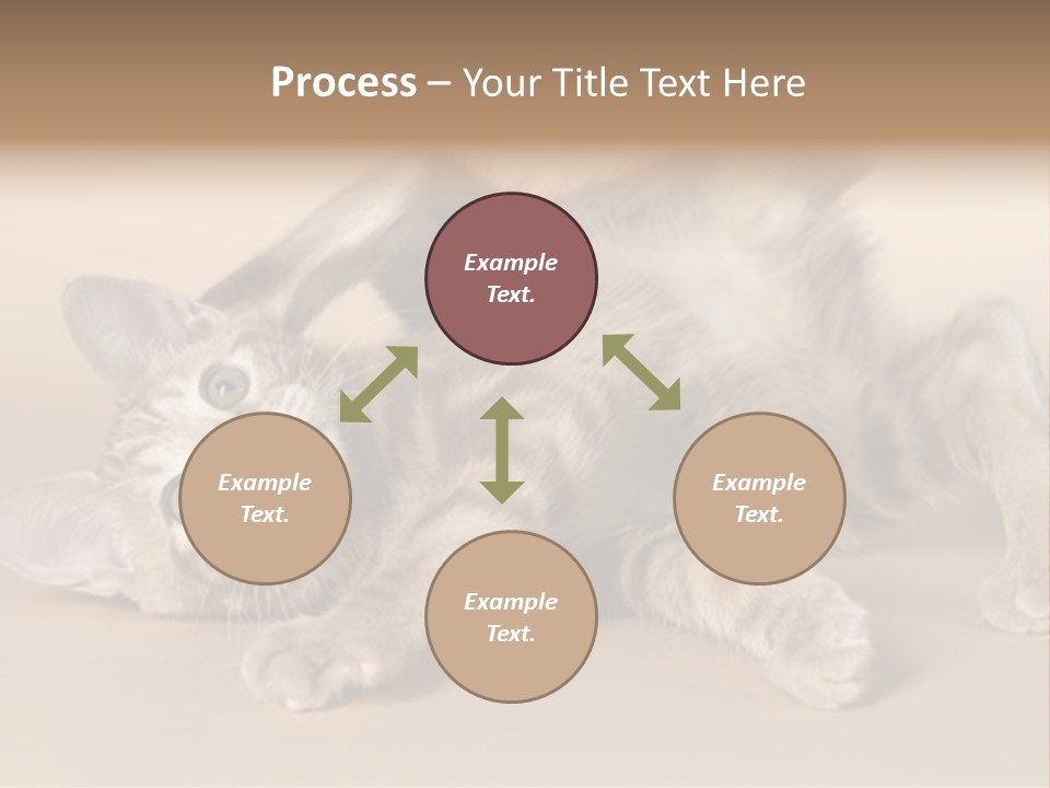 Grooming Pretty Household PowerPoint Template