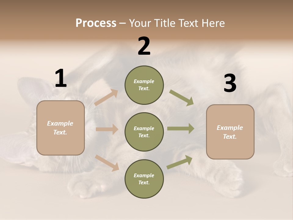 Grooming Pretty Household PowerPoint Template