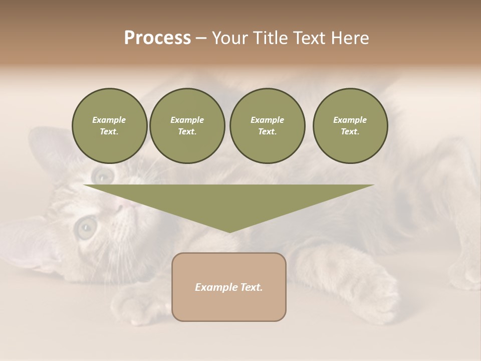 Grooming Pretty Household PowerPoint Template