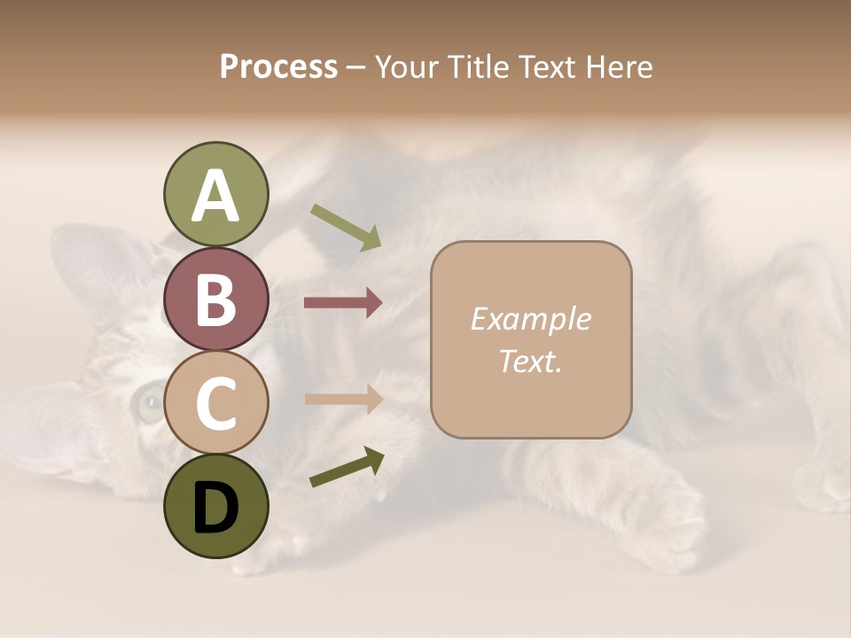 Grooming Pretty Household PowerPoint Template