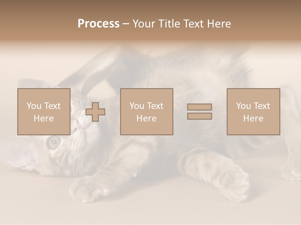 Grooming Pretty Household PowerPoint Template