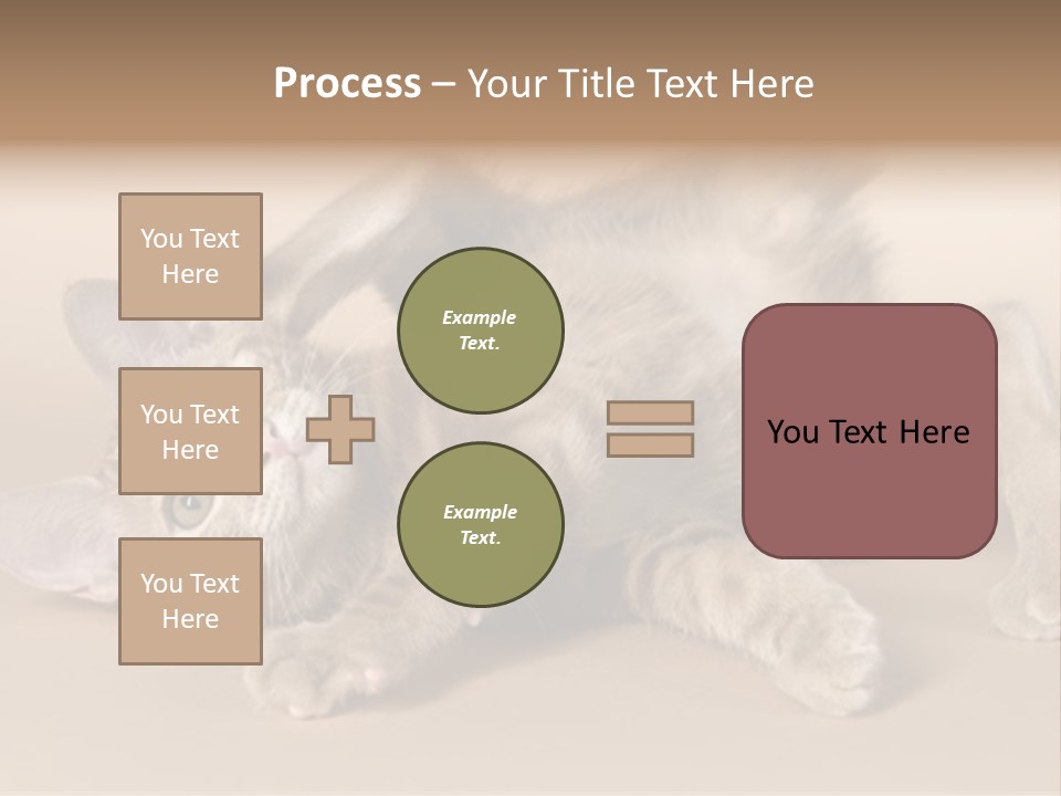 Grooming Pretty Household PowerPoint Template