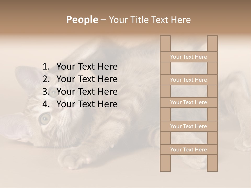 Grooming Pretty Household PowerPoint Template