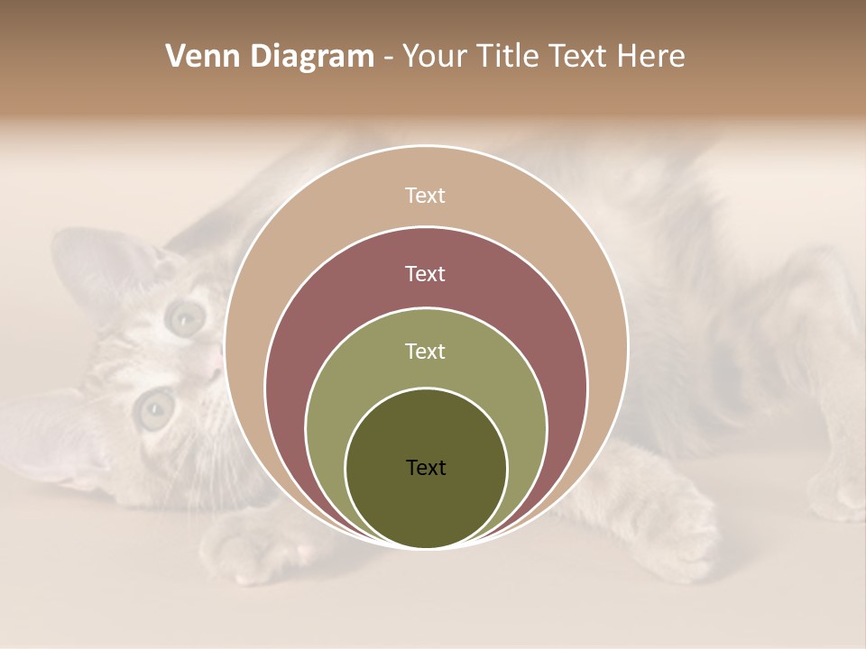 Grooming Pretty Household PowerPoint Template