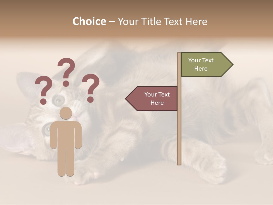 Grooming Pretty Household PowerPoint Template