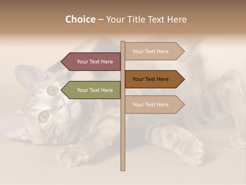 Grooming Pretty Household PowerPoint Template