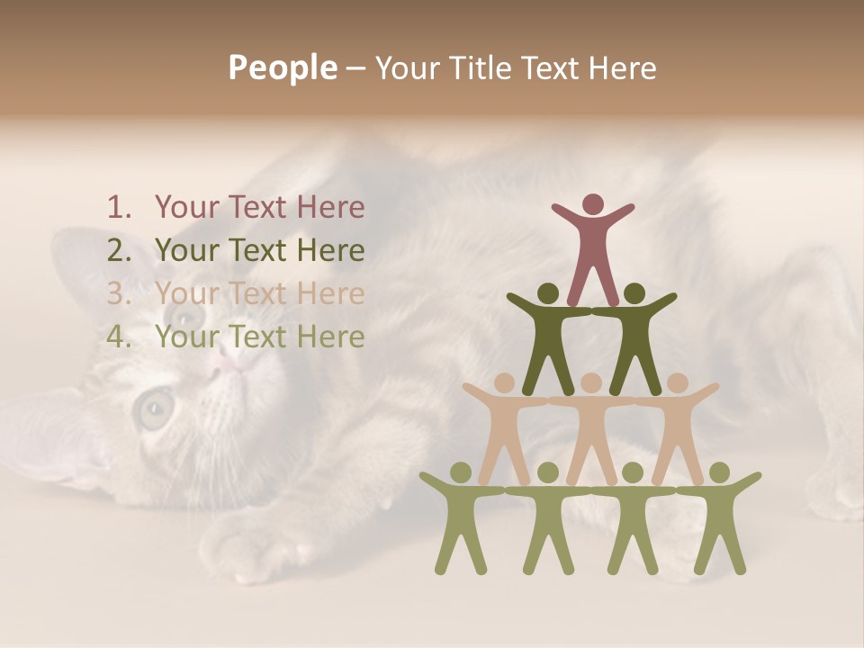 Grooming Pretty Household PowerPoint Template