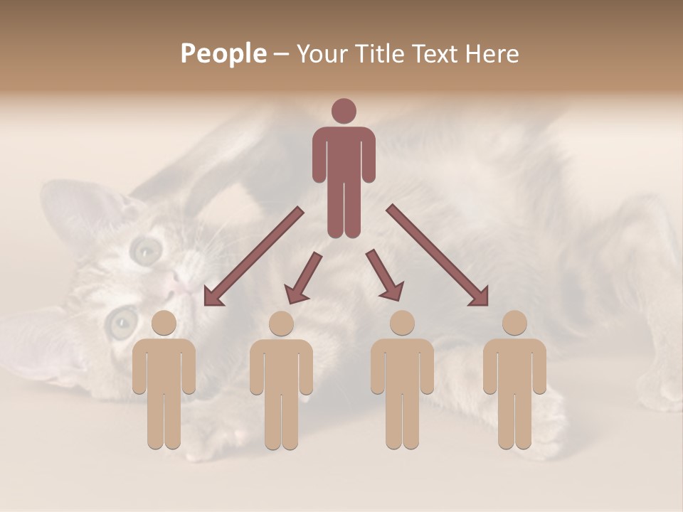 Grooming Pretty Household PowerPoint Template