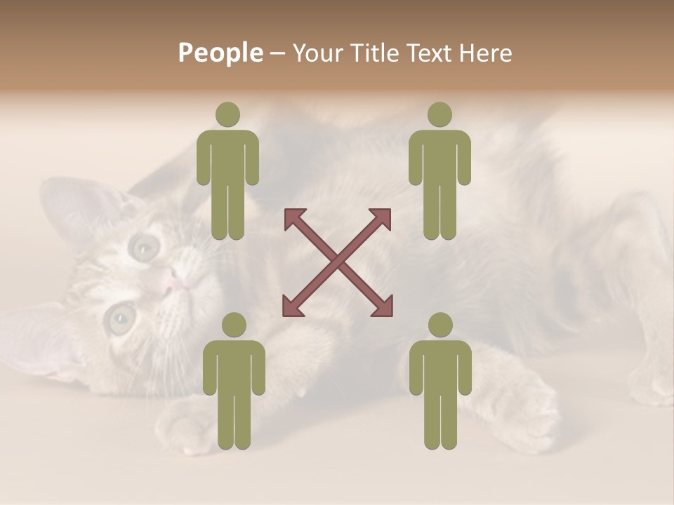 Grooming Pretty Household PowerPoint Template