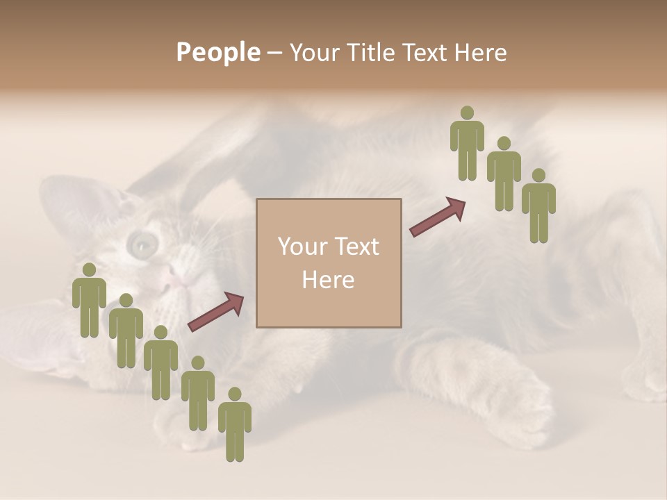 Grooming Pretty Household PowerPoint Template