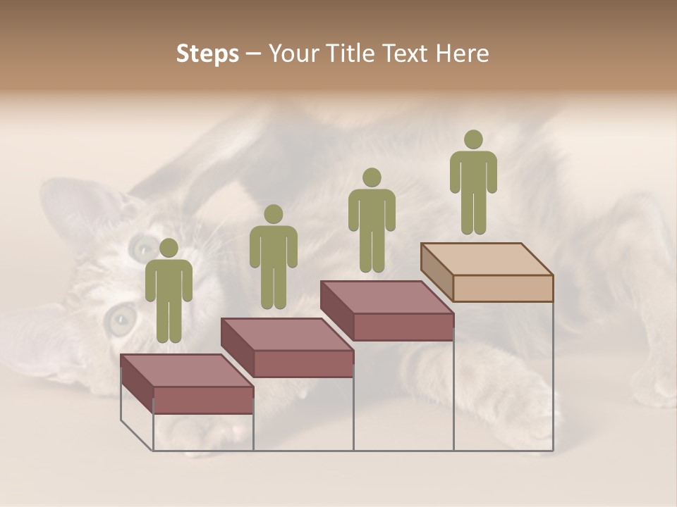 Grooming Pretty Household PowerPoint Template