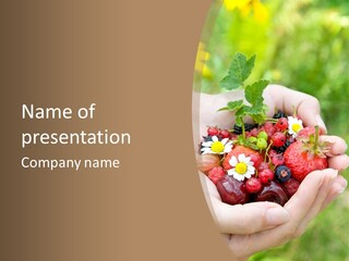 Succulent Juicy Picking PowerPoint Template