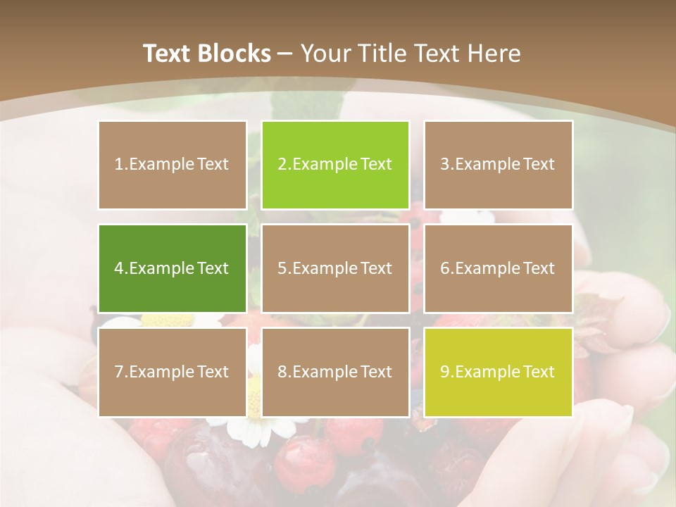 Succulent Juicy Picking PowerPoint Template