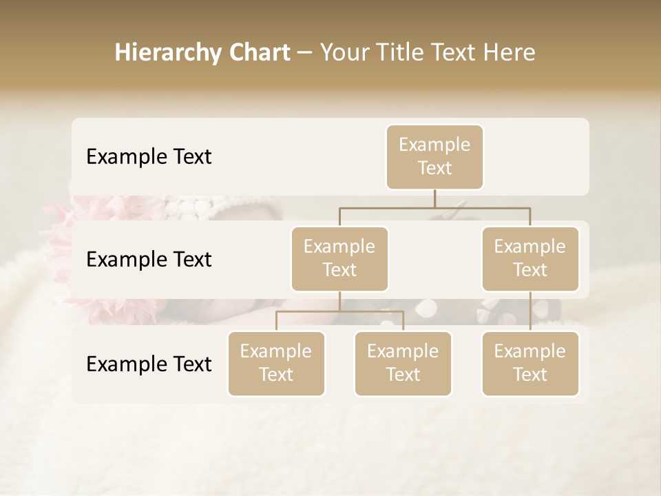Studio Shot Caucasian Selective Focus PowerPoint Template