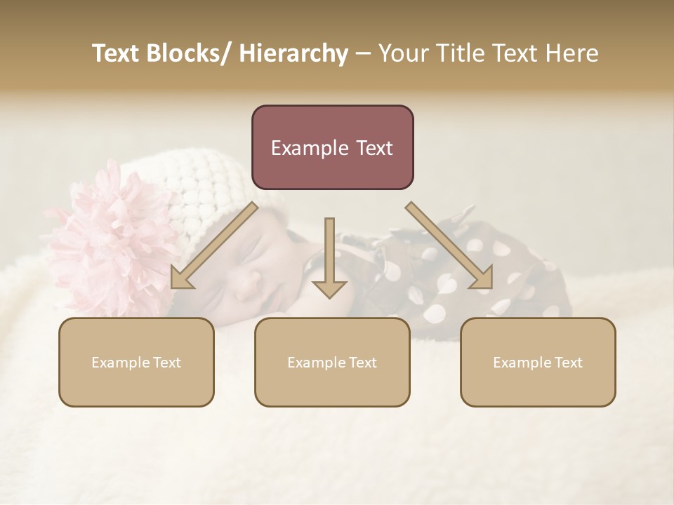 Studio Shot Caucasian Selective Focus PowerPoint Template