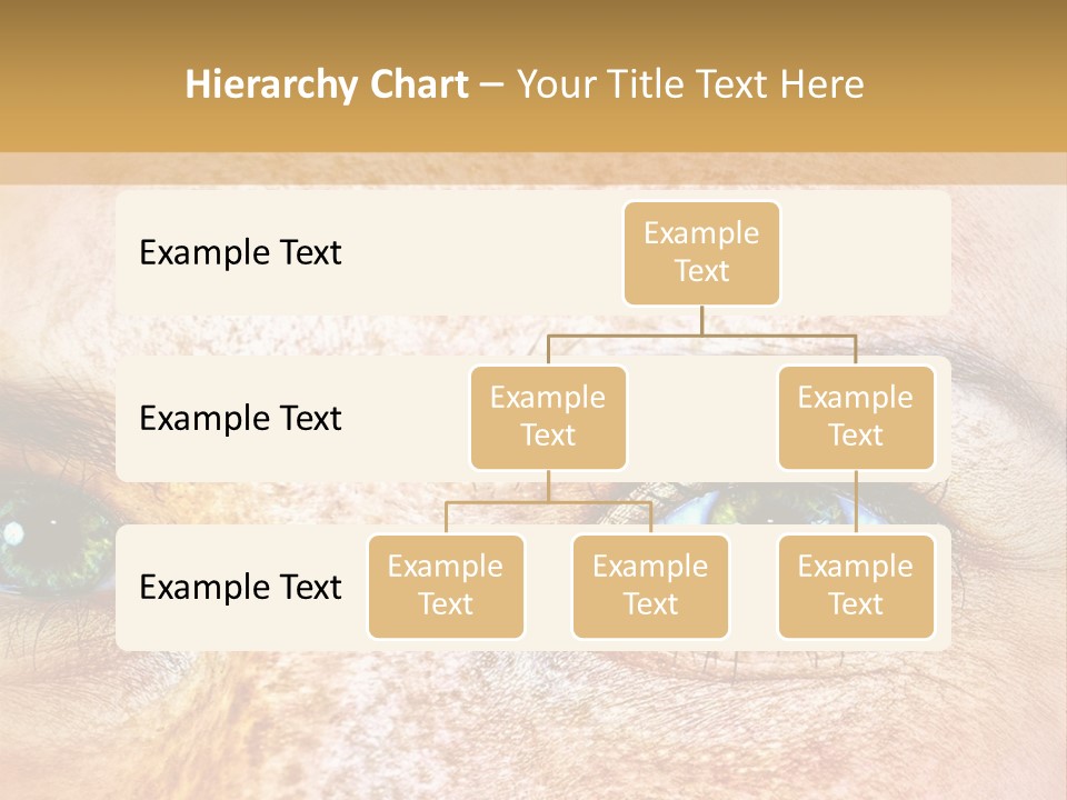Portrait Macro Senses PowerPoint Template