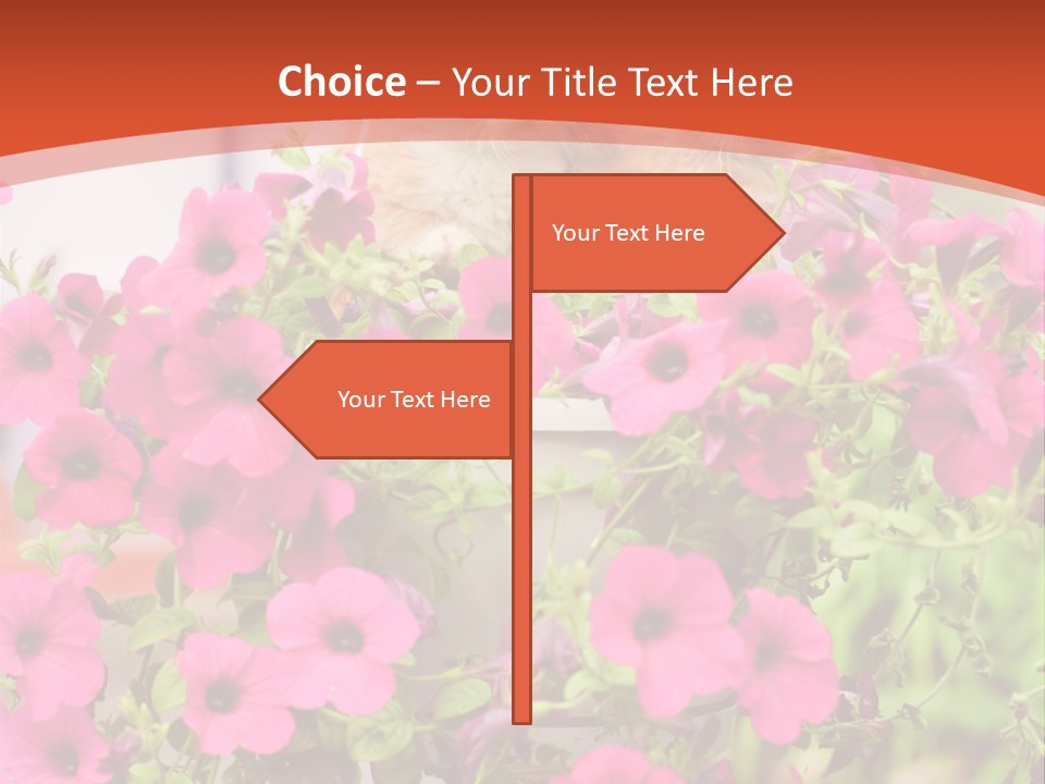 Yellow Soft Nature PowerPoint Template