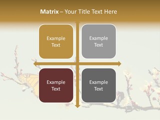 Wallpaper Orange Butterfly PowerPoint Template