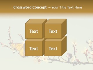 Wallpaper Orange Butterfly PowerPoint Template