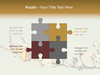 Wallpaper Orange Butterfly PowerPoint Template