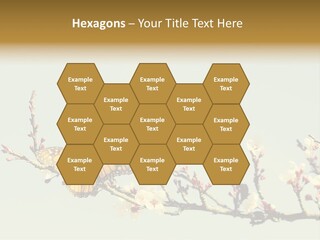 Wallpaper Orange Butterfly PowerPoint Template