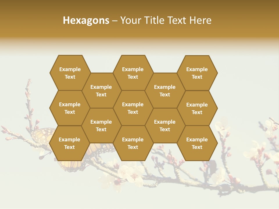 Wallpaper Orange Butterfly PowerPoint Template