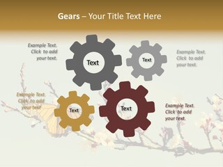 Wallpaper Orange Butterfly PowerPoint Template