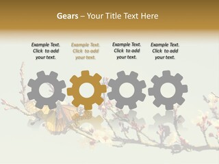 Wallpaper Orange Butterfly PowerPoint Template