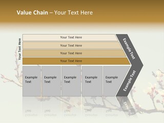 Wallpaper Orange Butterfly PowerPoint Template