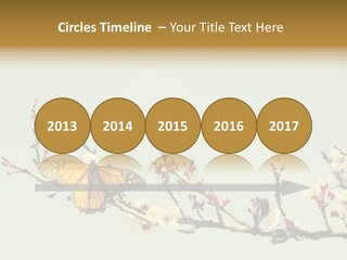 Wallpaper Orange Butterfly PowerPoint Template