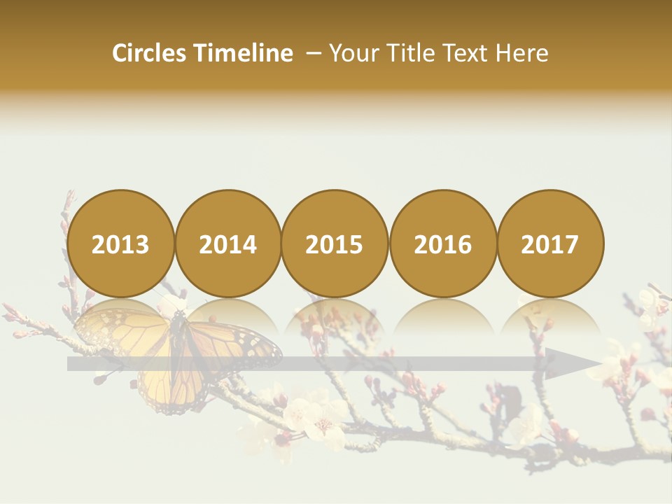 Wallpaper Orange Butterfly PowerPoint Template